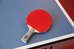 2702 Bewegung Ping-Pong-Schläger Praktisch Abspielen Farbe Tischtennisschläger 